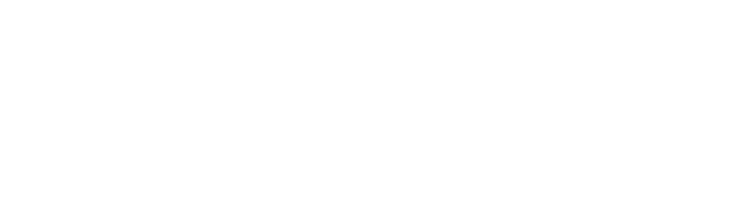 earlux Brand logo